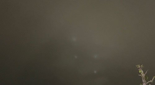 占い師SA-ULEENUFOのお気に入り写真1